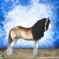 Horse Color:Liver Red Onyx Sabino Splash Rabicano