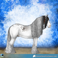 Horse Color:White Spotted Brown Ice Sabino Splash Rabicano 