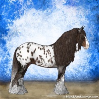 Horse Color:White Spotted Liver Chestnut Ice Sabino Splash Appaloosa Rabicano