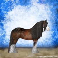 Horse Color:Buckskin Ice Sabino Rabicano