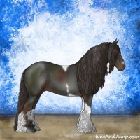 Horse Color:Liver Chestnut Sabino Tobiano