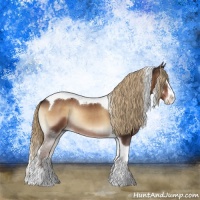 Horse Color:Liver Red Onyx Sabino Splash Tobiano Rabicano