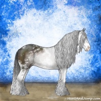 Horse Color:Brown Sabino Rabicano