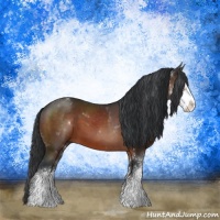 Horse Color:Brown Sabino