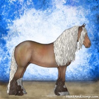 Horse Color:Liver Chestnut Mushroom Rabicano
