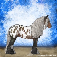 Horse Color:Liver Chestnut Mushroom Appaloosa Rabicano