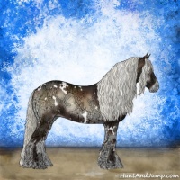 Horse Color:White Spotted Liver Red Onyx Ice Mushroom Rabicano