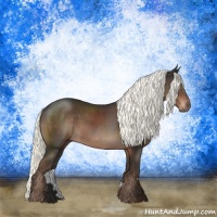 Horse Color:Liver Chestnut Mushroom Rabicano 