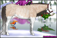 Horse Color:Amber Champagne Ice Roan Sabino Splash Rabicano
