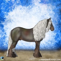 Horse Color:Liver Chestnut Mushroom 