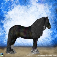 Horse Color:Midnight Blue Onyx Ice Sabino
