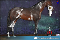 Horse Color:White Spotted Brown