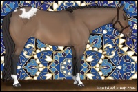 Horse Color:Brown Dun Appaloosa 