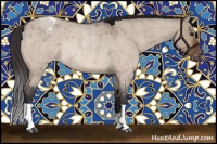 Horse Color:Bay Roan Dun Appaloosa Rabicano 