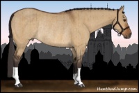 Horse Color:Buckskin Dun Rabicano Brindle