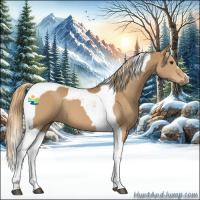 Horse Color:Chestnut Tobiano 