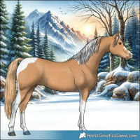 Horse Color:Chestnut Tobiano 