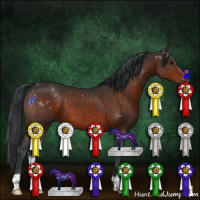 Horse Color:Brown 