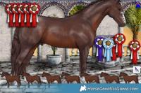 Horse Color:Chocolate Brown 