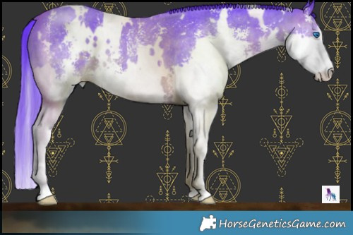 Horse Color:Watercolor White Spotted Brown Sabino Splash Rabicano 