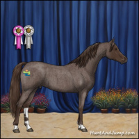 Horse Color:Liver Red Roan 