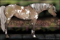 Horse Color:White Spotted Silver Brown Dun Rabicano 