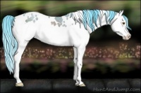 Horse Color:Watercolor White Spotted Buckskin Ice Splash Rabicano