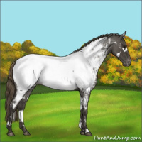 Horse Color:White Spotted Smoky Blue Roan Near Fewspot 