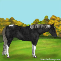 Horse Color:Liver Chestnut Ice Mushroom Tobiano 