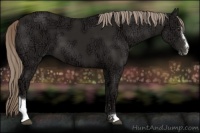 Horse Color:Liver Chestnut Ice Mushroom Sabino 