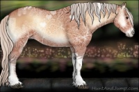 Horse Color:Silver Bay Ice Onyx Tobiano 