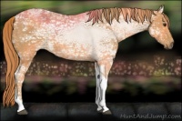 Horse Color:Chestnut Ice Tobiano 
