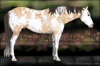 Horse Color:White Spotted Buckskin Ice Splash 