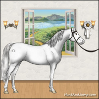 Horse Color:Gray White Spotted Liver Red Dun Sabino Appaloosa  and Gray White Spotted Gold Cream Champagne Dun Appaloosa Rabicano 