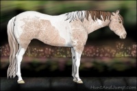 Horse Color:Bay Ice Pearl Tobiano 