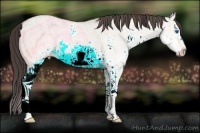 Horse Color:White Spotted Amber Champagne Ice Dun Splash