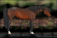 Horse Color:Brown 