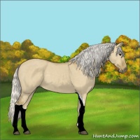 Horse Color:Silver Smoky Grullo Tobiano 