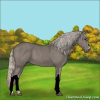 Horse Color:Silver Black 