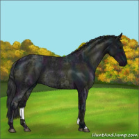 Horse Color:Midnight Blue Ice Roan Rabicano 