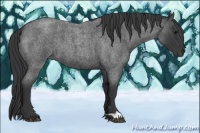 Horse Color:Blue Roan 