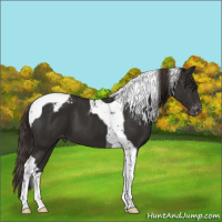 Horse Color:Liver Chestnut Tobiano Varnish 