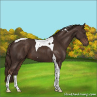 Horse Color:Liver Chestnut Tobiano 