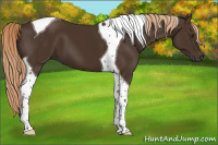 Horse Color:Liver Chestnut Tobiano 