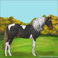 Horse Color:Liver Chestnut Tobiano