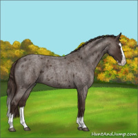 Horse Color:Liver Red Roan Sabino Splash