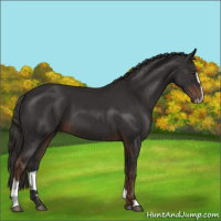 Horse Color:Liver Chestnut Sabino 