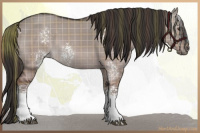 Horse Color:Plaid  White Spotted Liver Red Dun Rabicano 