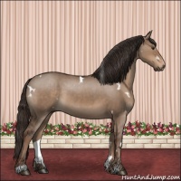 Horse Color:White Spotted Liver Red Dun Sabino 