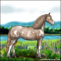 Horse Color:White Spotted Liver Chestnut Pearl 